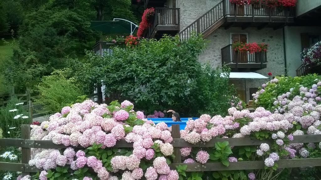 Antica Casa Ortensia Рива дел Гарда Стая снимка